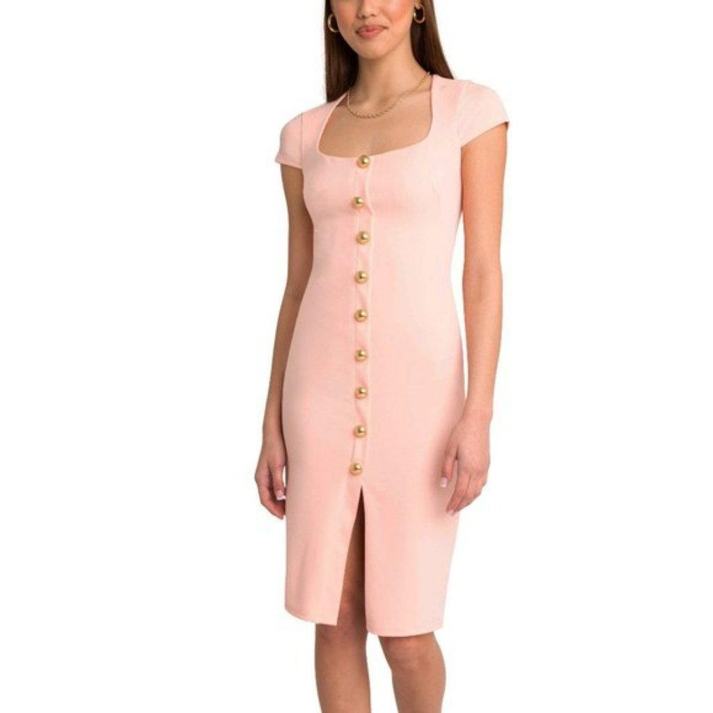 Nwt Black Halo Akira Shift Dress In Soft Rose